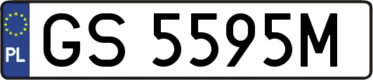 GS5595M