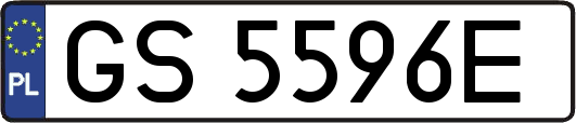GS5596E
