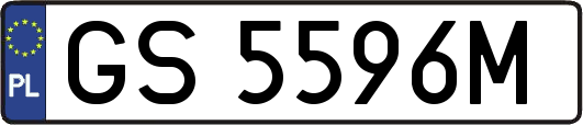 GS5596M