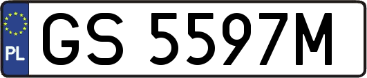 GS5597M