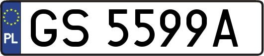 GS5599A