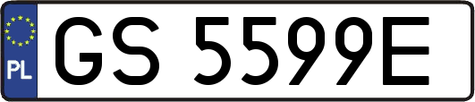 GS5599E