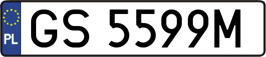 GS5599M