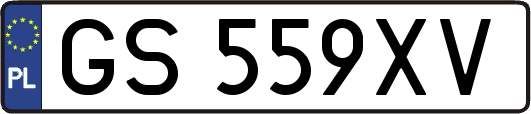 GS559XV