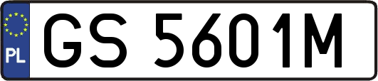 GS5601M