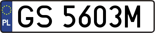 GS5603M