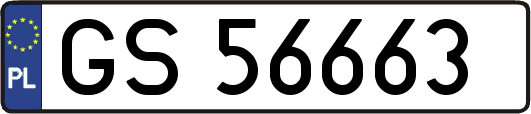 GS56663