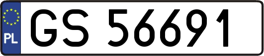 GS56691