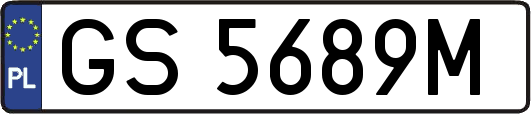 GS5689M