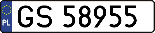 GS58955
