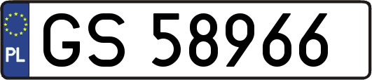 GS58966