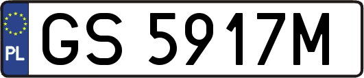 GS5917M