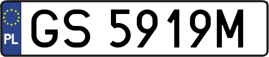 GS5919M