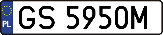 GS5950M
