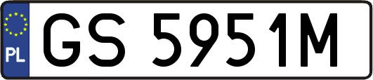 GS5951M
