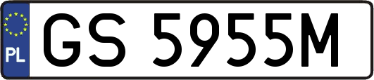 GS5955M
