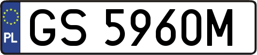 GS5960M