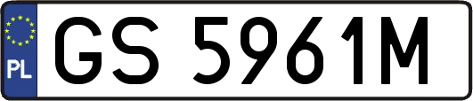GS5961M