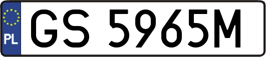 GS5965M