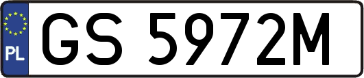 GS5972M
