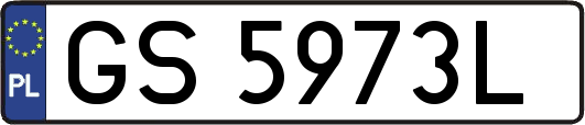 GS5973L