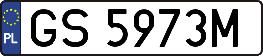 GS5973M