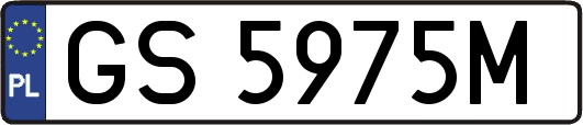 GS5975M