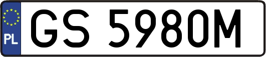 GS5980M