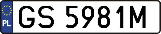 GS5981M