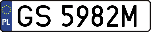 GS5982M