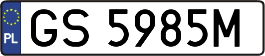 GS5985M