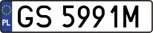 GS5991M