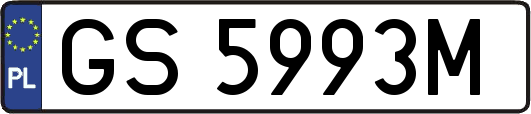 GS5993M