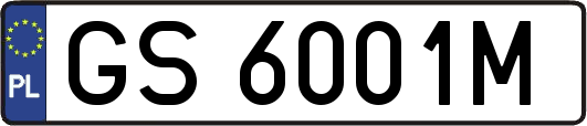 GS6001M