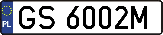 GS6002M