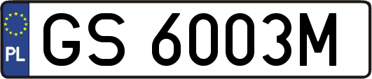 GS6003M