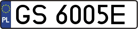 GS6005E