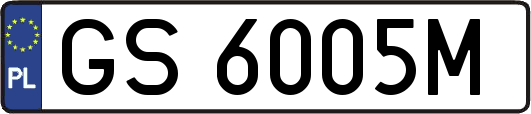 GS6005M