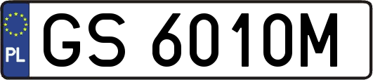 GS6010M