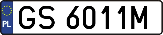 GS6011M
