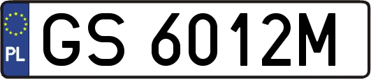 GS6012M
