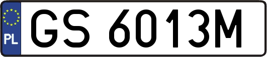 GS6013M