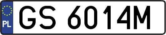 GS6014M