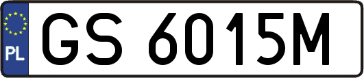 GS6015M