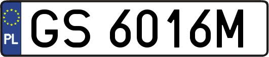 GS6016M