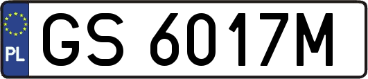 GS6017M