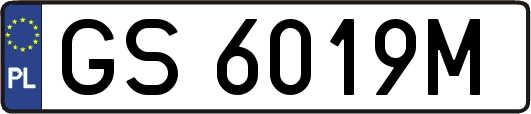 GS6019M