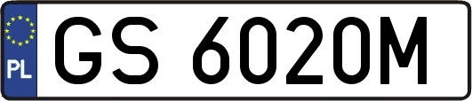 GS6020M