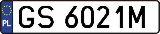 GS6021M
