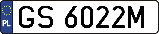 GS6022M